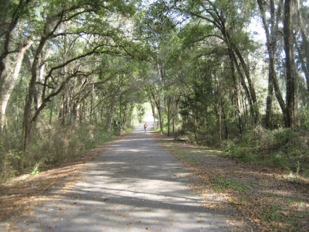 Good Neighbor Trail Brooksville