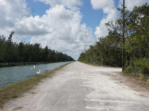 Everglades, Biscayne-Everglades Greenway