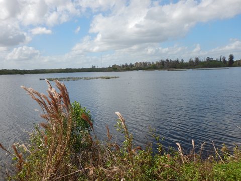 Circle B Bar Reserve, Florida eco-biking