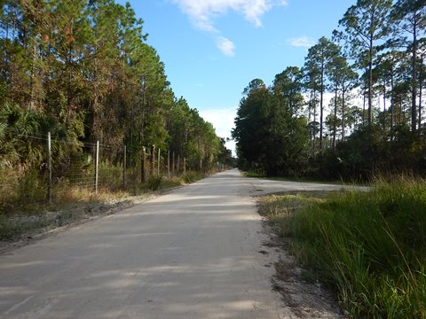 Florida Bike Trails, Dixie Mainline