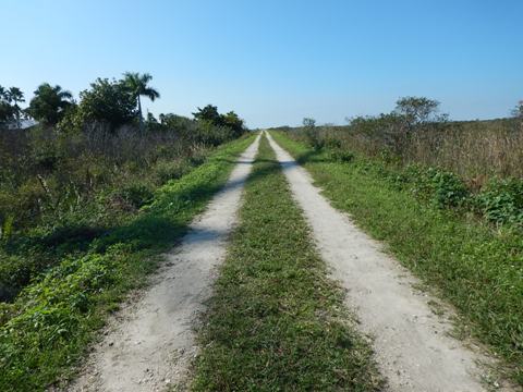Everglades, Southern Glades Trail