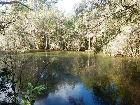 Everglades, Long Pine Key Nature Trail