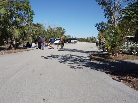 Everglades, Long Pine Key Nature Trail