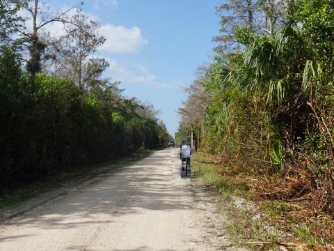 Loop Road