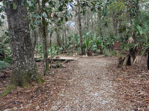Goethe State Forest, Florida eco-biking and hiking