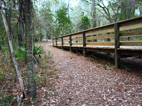 Goethe State Forest, Florida eco-biking and hiking