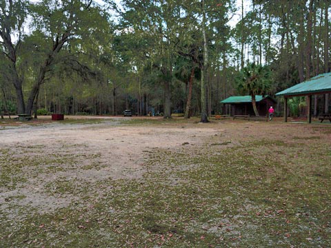 Goethe State Forest, Florida eco-biking and hiking