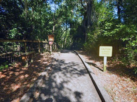 Gold Head Branch State Park, eco-biking and hiking