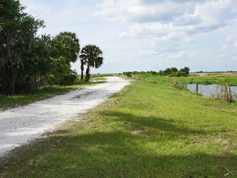 Kissimeee Prairie Preserve State Park, Florida eco-hiking