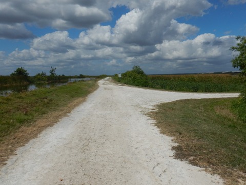 Lake Apopka Loop Trail