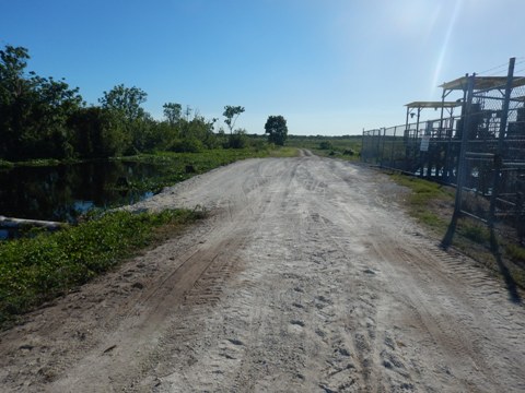 Lake Apopka Loop Trail