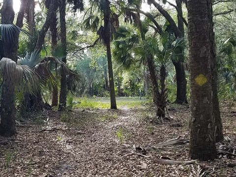Lake Jesup Conservation Area