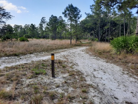 Lake Kissimeee State Park, Florida eco-hiking