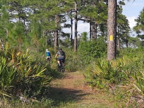 Lake Kissimeee State Park, Florida eco-hiking