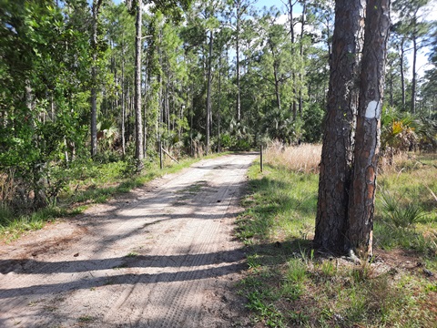 Lake Kissimeee State Park, Florida eco-hiking