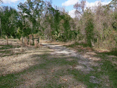 Lake Norris Conservation Area