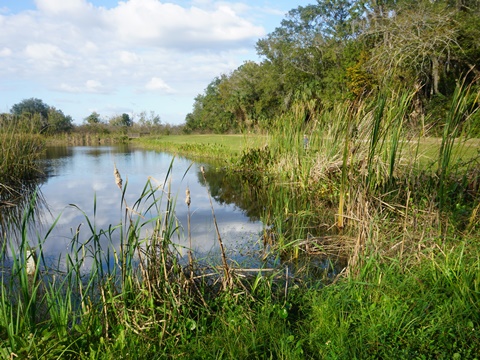 Lake Wooddruff