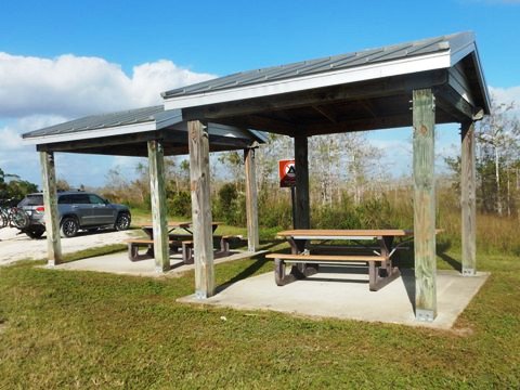 Everglades, Loop Road