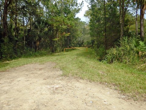 Florida Bike Trails, Nature Trail, Lower Suwannee NWR