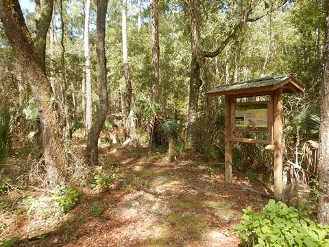 Lower Suwannee River Trail