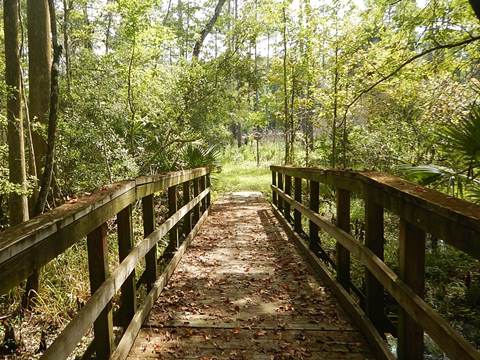 Lower Suwannee River Trail