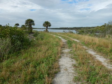 Merritt Island biking-L-Pond Road
