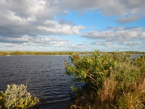 Merritt Island biking-L-Pond Road