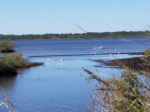 Merritt Island Biking, Shiloh Road
