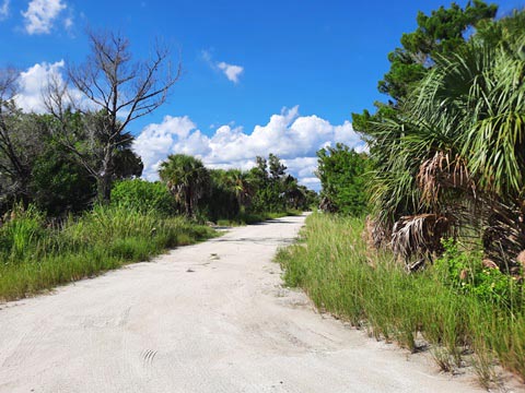 Merritt Island biking, Shiloh Road