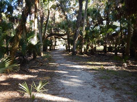 Myakka River State Park, eco-biking