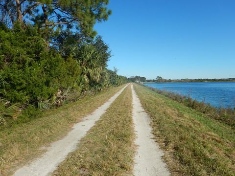 Orlando Wetlands