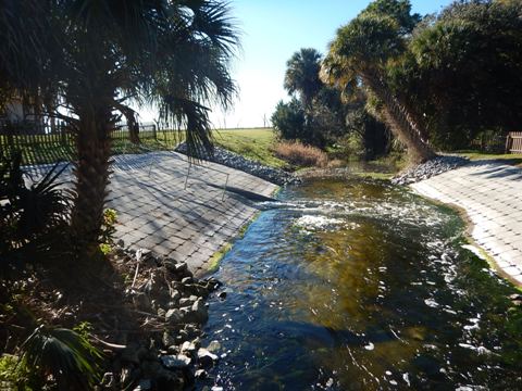 Orlando Wetlands