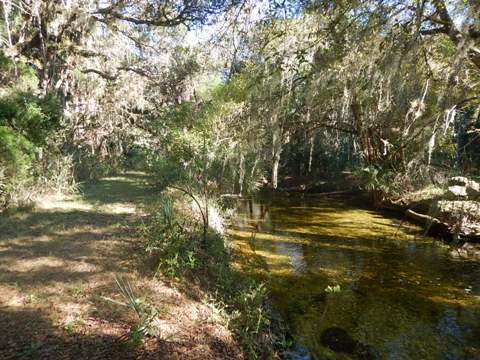 Orlando Wetlands
