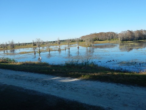 Orlando Wetlands