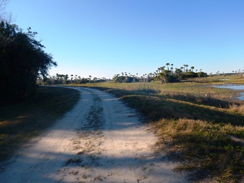 Orlando Wetlands