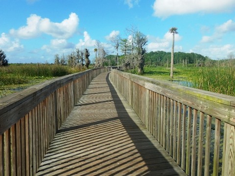 Orlando Wetlands