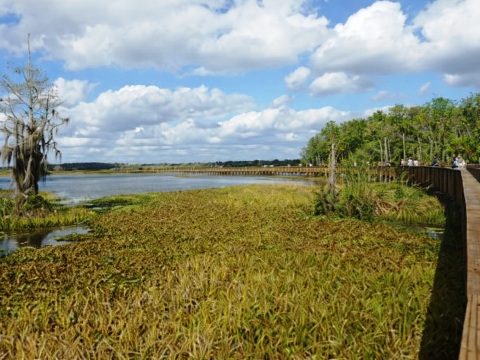 Orlando Wetlands