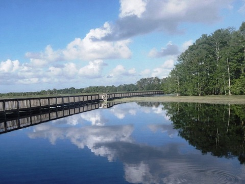 Orlando Wetlands