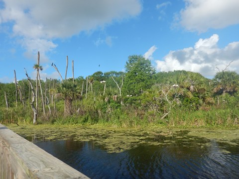 Orlando Wetlands