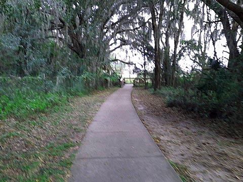 Payne's Prairie, eco-biking, La Chua Trail