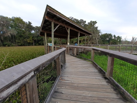 Payne's Prairie, eco-biking, La Chua Trail