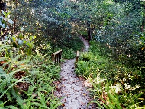 Florida Bike Trails, Ravine Gardens