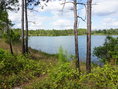 Seminole State Forest, eco-biking