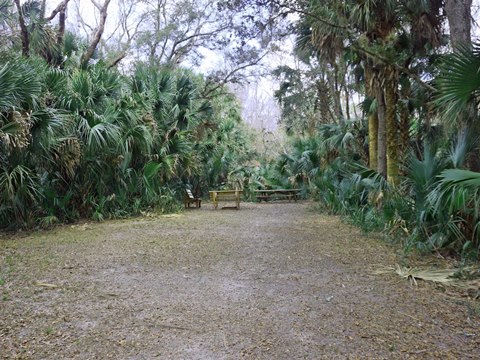 Seminole State Forest, eco-biking