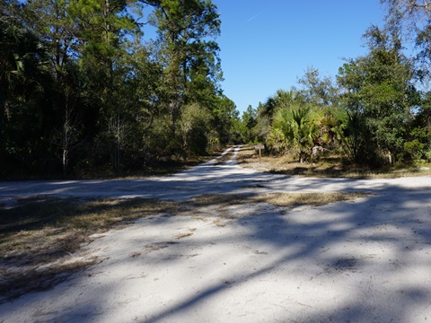 Seminole State Forest, eco-biking