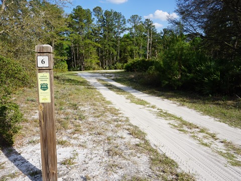 Seminole State Forest, eco-biking