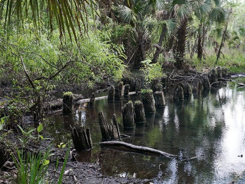 Seminole State Forest, eco-biking