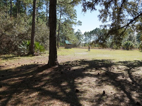 Seminole State Forest, eco-biking