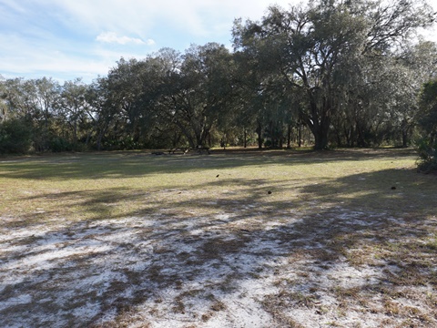 Seminole State Forest, eco-biking
