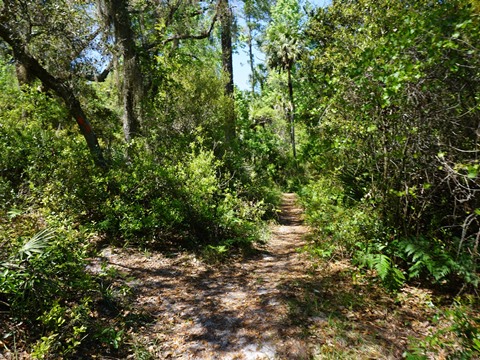 Seminole State Forest, eco-biking